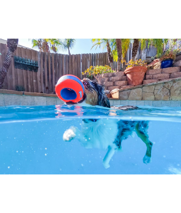 Chuckit! Amphibious Roller