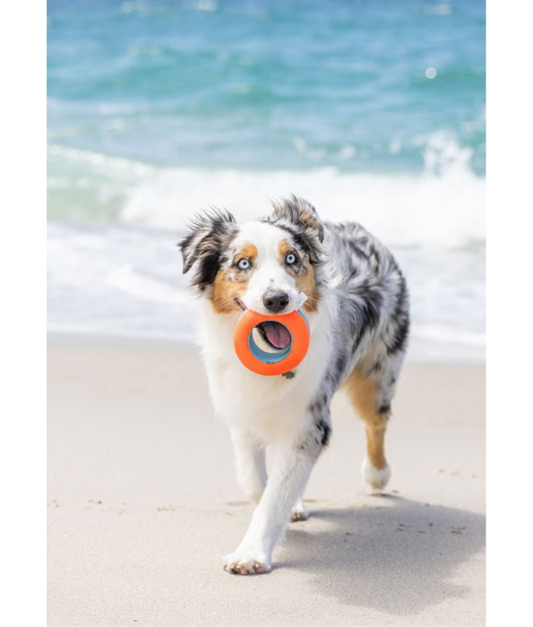 Chuckit! Amphibious Roller