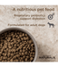 Diamond Naturals Diamond Naturals - Lamb & Rice Adult Dog 15kg