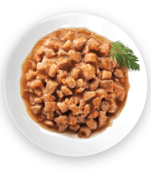 Wellness CORE Tender Cuts Chicken & Salmon in Savory Gravy 85g