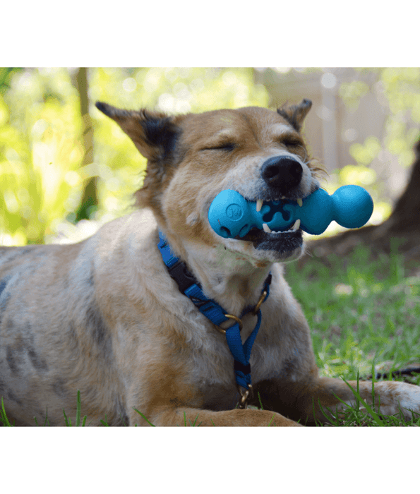 JW JW Playbites Caterpillar Dog Toy