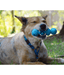 JW JW Playbites Caterpillar Dog Toy
