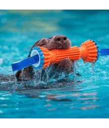 Chuckit! Chuckit! Rugged Bumper Dog Toy L35xW11xH8 cm