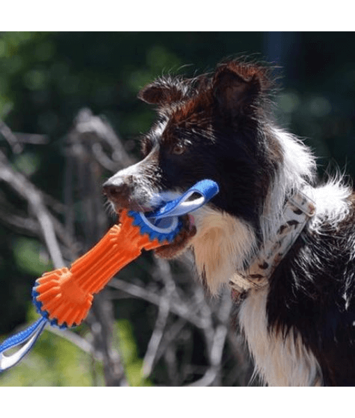 Chuckit! Chuckit! Rugged Bumper Dog Toy L35xW11xH8 cm