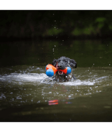 Chuckit! Chuckit! Amphibious Tri-Bumper Fetch Toy