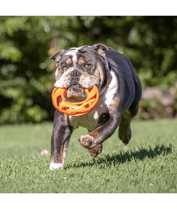 Chuckit! Chuckit! Air Fetch Wheel Dog Toy