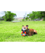 Chuckit! Chuckit! UltraRing Dog Fetch Toy