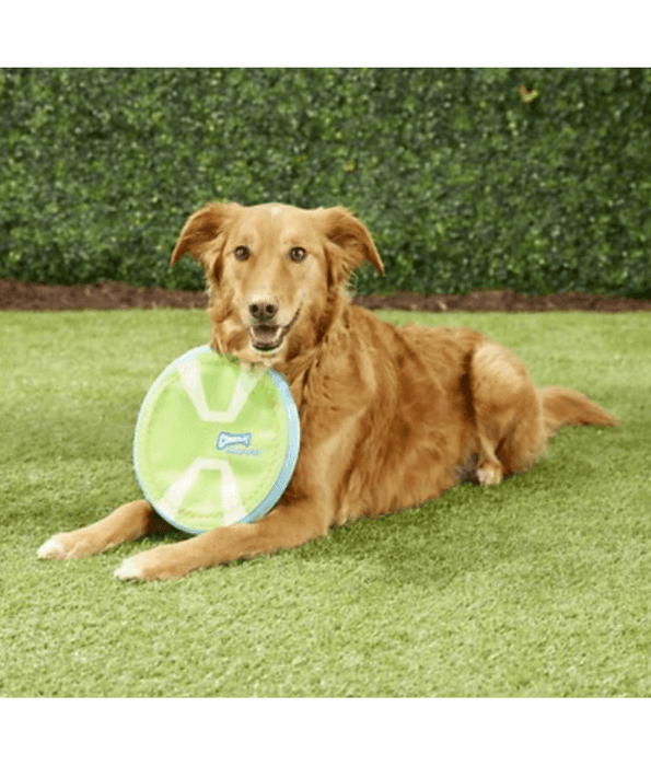 Chuckit! Chuckit! Paraflight Max Glow Flyer Dog Toy