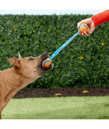 Chuckit! Chuckit! Ultra Duo Dog Tug Toy