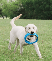 Chuckit! Chuckit! Rugged Fetch Wheel