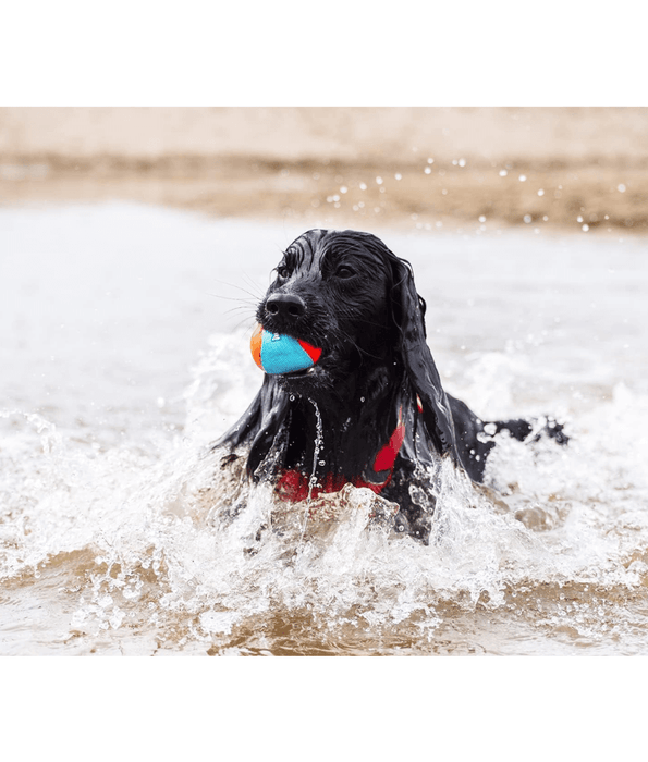 Chuckit! Chuckit! Amphibious Fetch Ball
