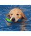Chuckit! Chuckit! Amphibious Boomerang
