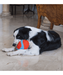 Chuckit! Chuckit! Indoor Fumbler