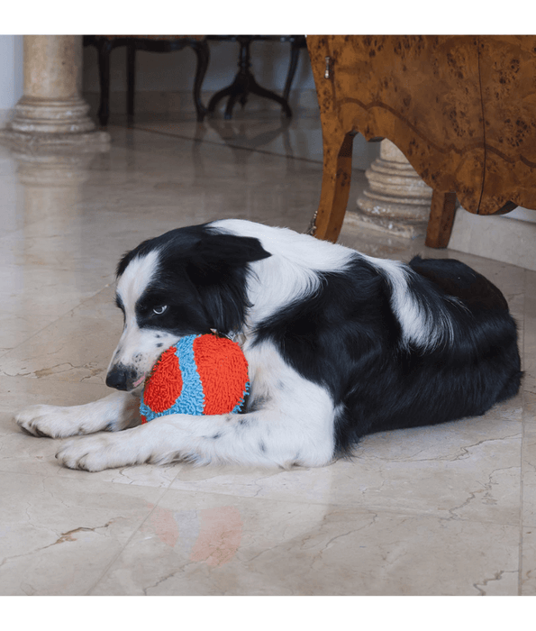 Chuckit! Chuckit! Indoor Fumbler