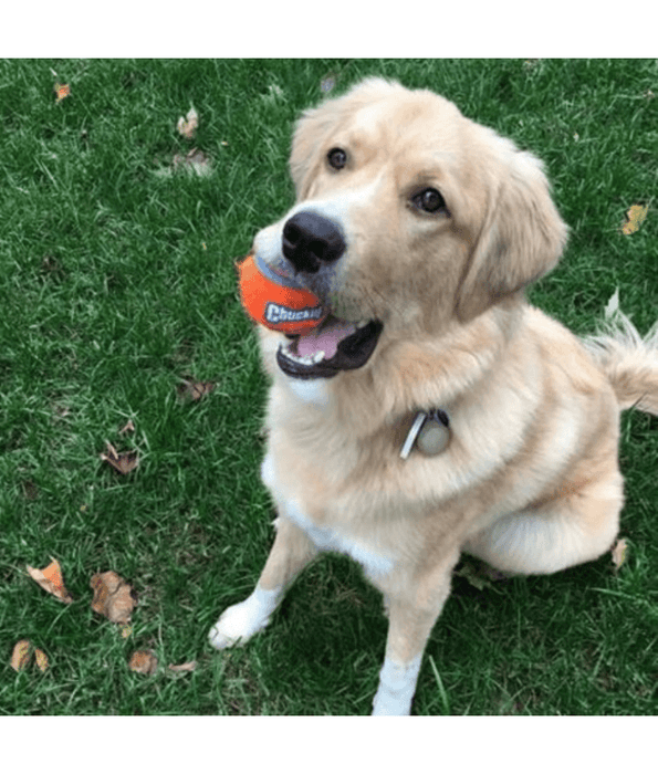 Chuckit! Chuckit! Tennis Ball