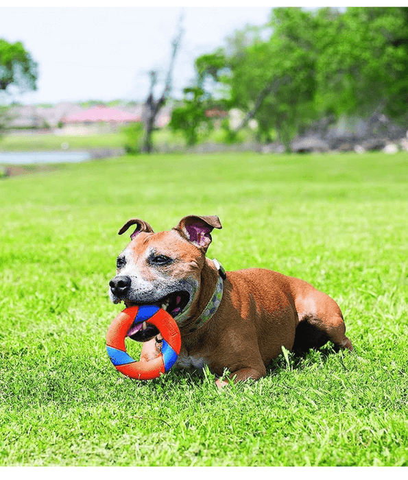 Chuckit! Ultra Squeaker Ring Chuckit!