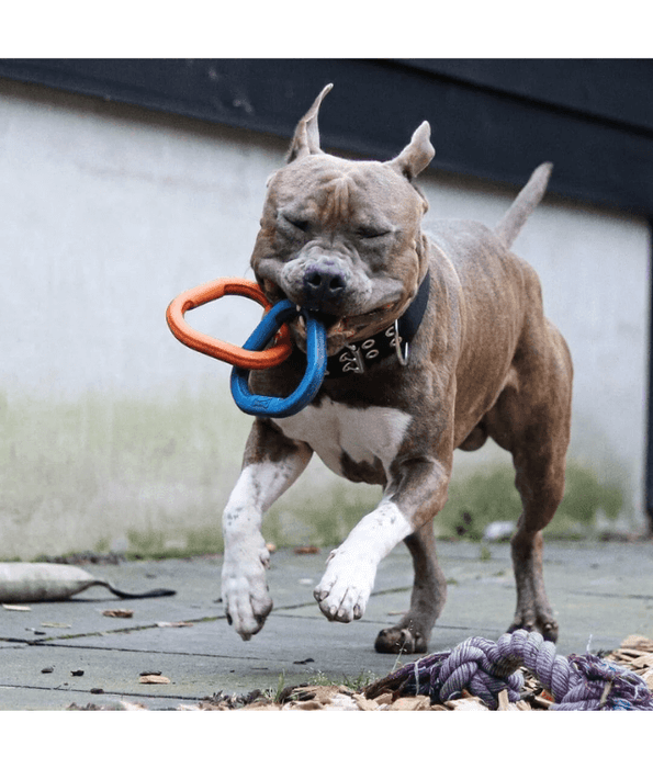 Chuckit! Chuckit! Ultra Links