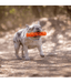 Chuckit! Chuckit! Air Fetch Stick Dog Toy