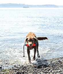Chuckit! Chuckit! Amphibious Bumper Floating Dog Toy
