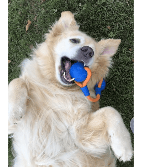 Chuckit! Chuckit! Crunch Duo Tug Dog Toy