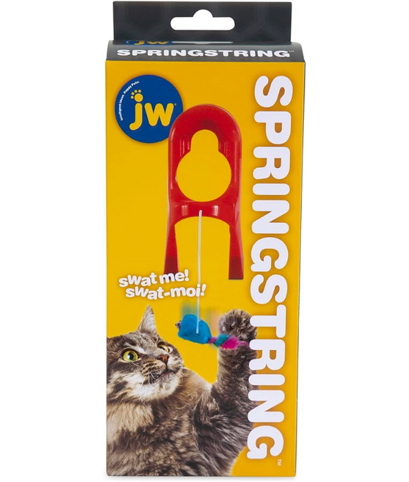 JW Cataction Spring String Cat Toy JW