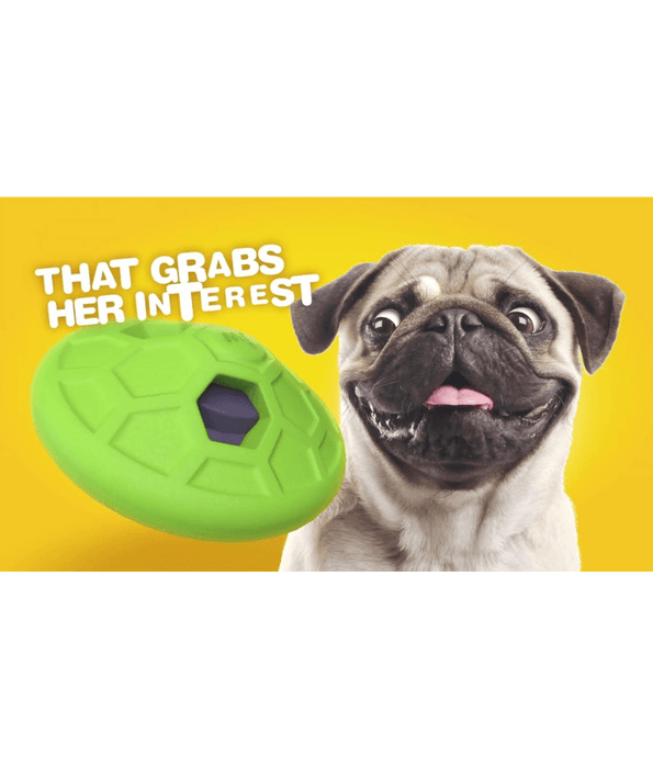 JW Natural Sounds Rumbler Dog Toy