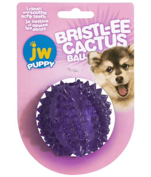 JW Bristl-ee Cactus Ball Puppy Toy JW