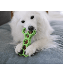 JW JW Hol-ee Bone Puzzle Dog Toy