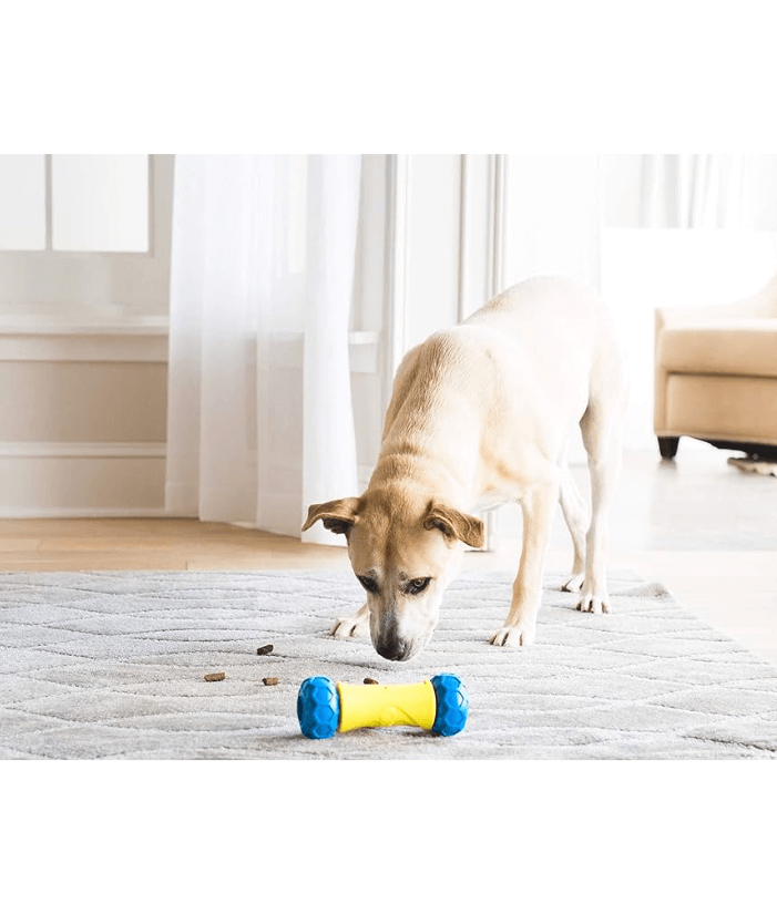 JW RoboBone Electronic Treat Dispensing Dog Toy