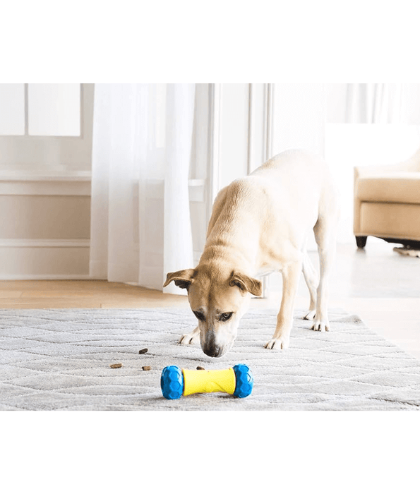 JW RoboBone Electronic Treat Dispensing Dog Toy JW