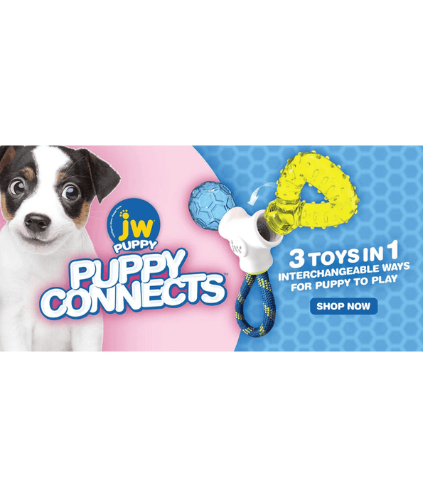 JW Puppy Connects Teething Chew Toy — Petriotics