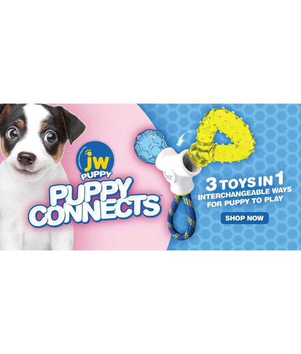 JW Puppy Connects Teething Chew Toy JW