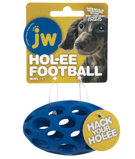 JW Hol-ee Football Mini Blue JW