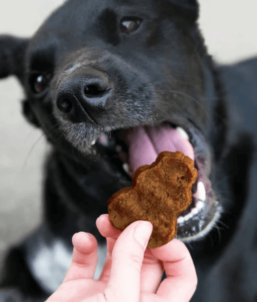 KONG - Jerky Beef Grain-Free Soft & Chewy Dog Treat Kong