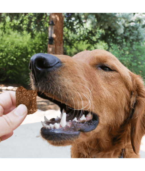 Kong Kitchen Hooked On Trout Grain-Free Cod Chewy Dog Treats Kong