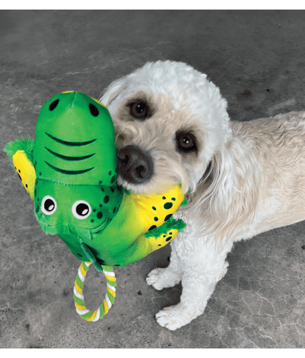 Kong Cozie Tuggz Alligator