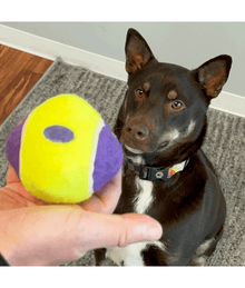 Kong Kong - AirDog Ball