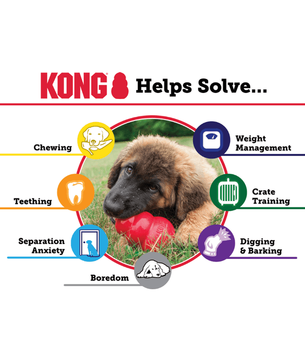 Kong Kong - Classic