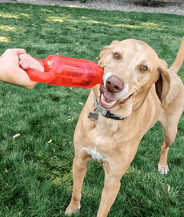 Kong Kong - Jumbler Tug