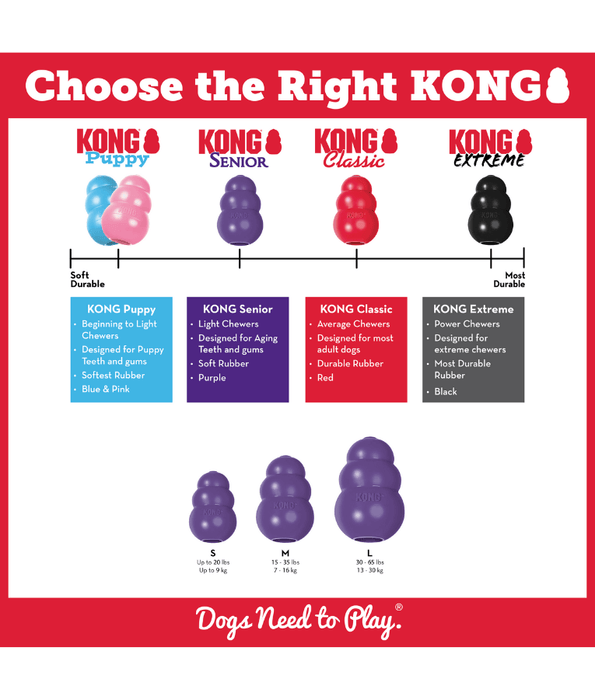 Kong Kong - Senior