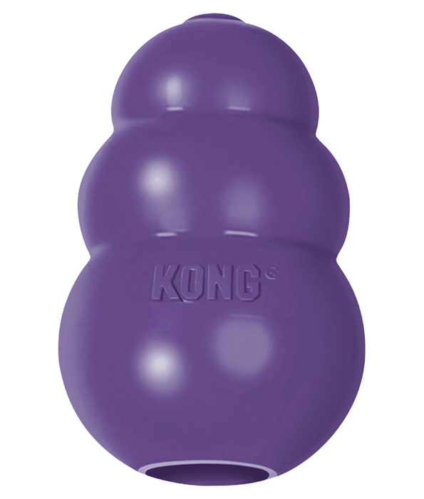 Kong Kong - Senior