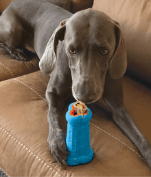 Kong Kong - Treatster