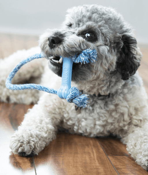Kong - Puppy Goodie Bone With Rope X-Small Kong