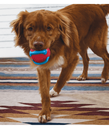 Kong Kong - Jaxx Brights Red Ball