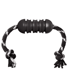 Kong Kong - Extreme Dental With Rope
