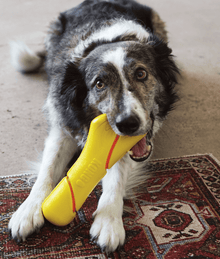 Kong Kong - Tennis Buoy With Rope