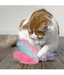 Kong Kong - Cat Wubba Caticorn