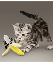 Kong Kong - Better Buzz Banana