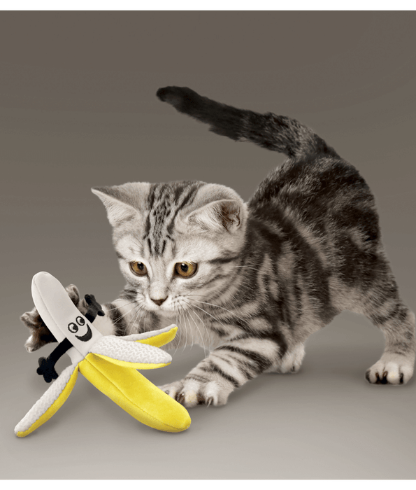 Kong Kong - Better Buzz Banana
