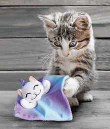 Kong Kong - Crackles Caticorn